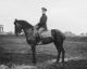 1917 in Flandern: Robert auf seinem Pferd Freytag